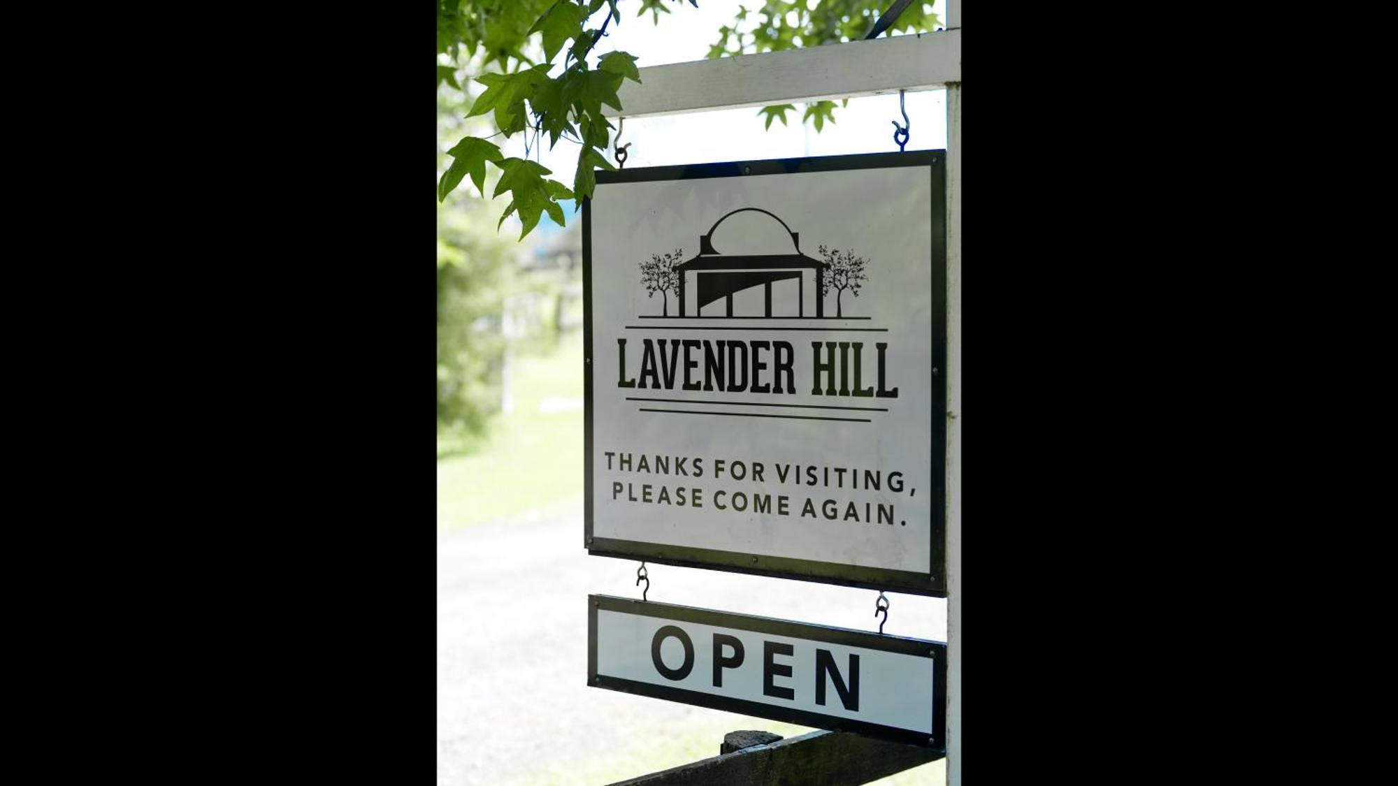 Bed and Breakfast Lavender Hill Riverhead Exterior foto