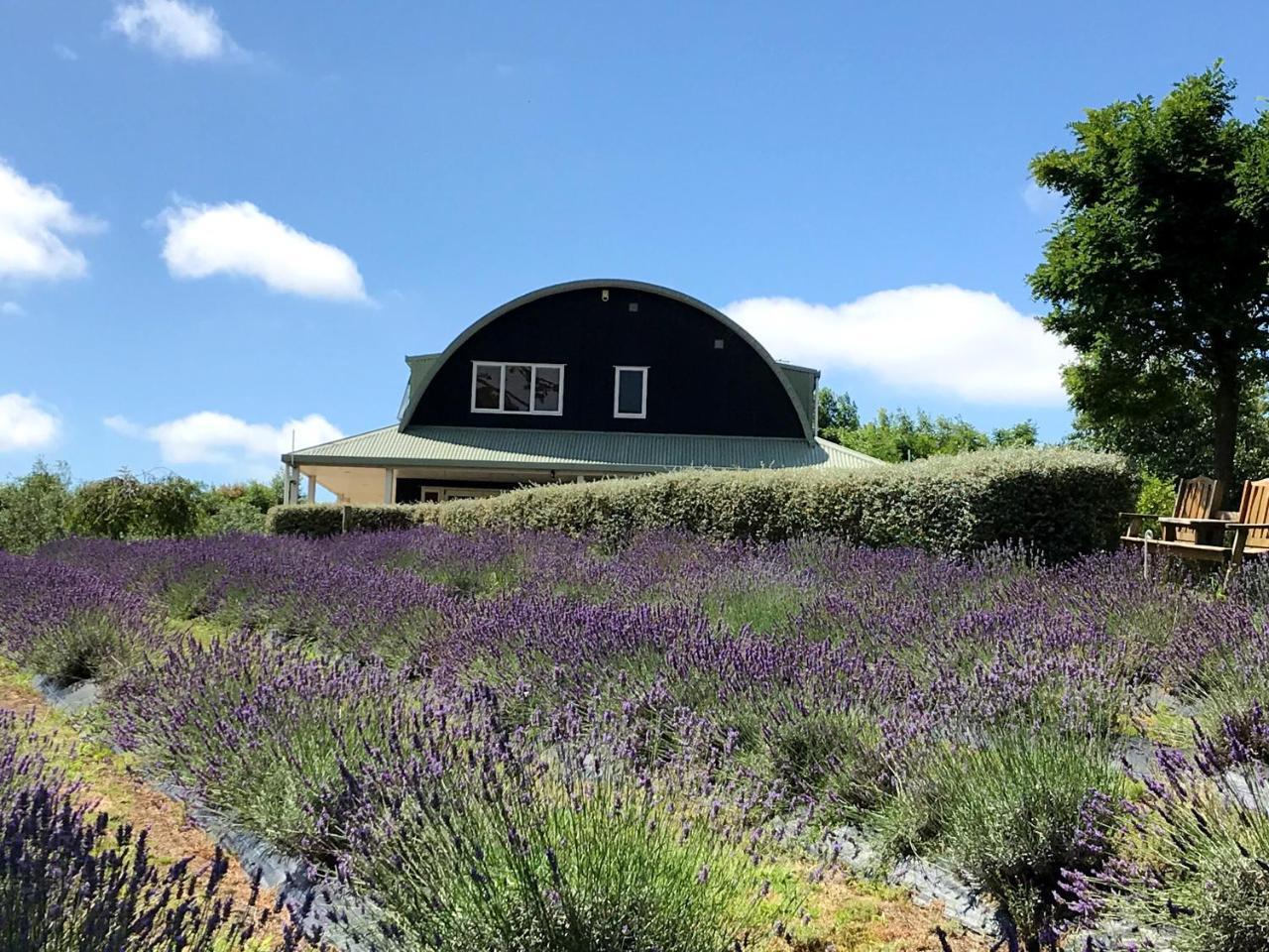 Bed and Breakfast Lavender Hill Riverhead Exterior foto