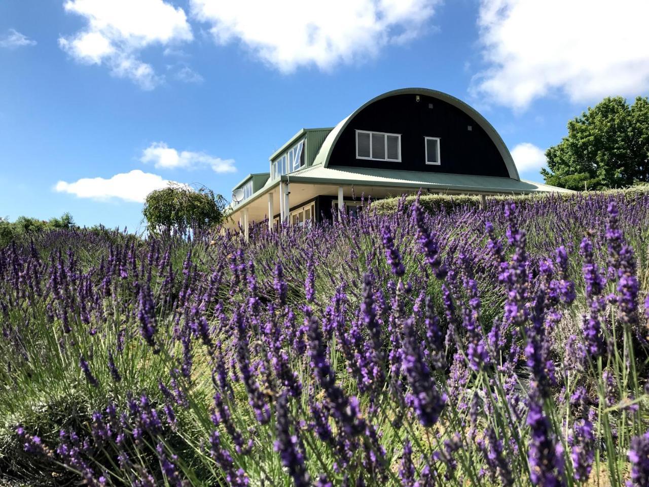 Bed and Breakfast Lavender Hill Riverhead Exterior foto